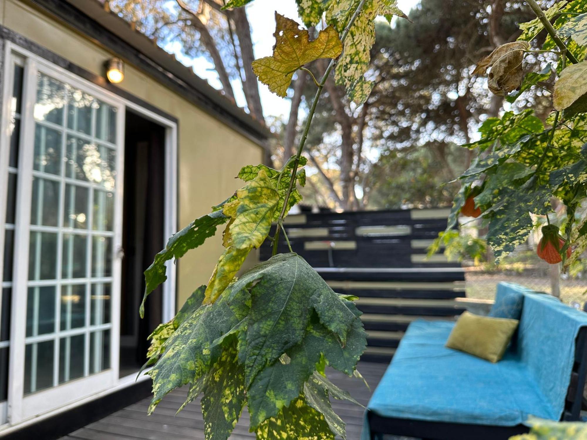 Eco-Friendly Beach House Sesimbra Exteriér fotografie