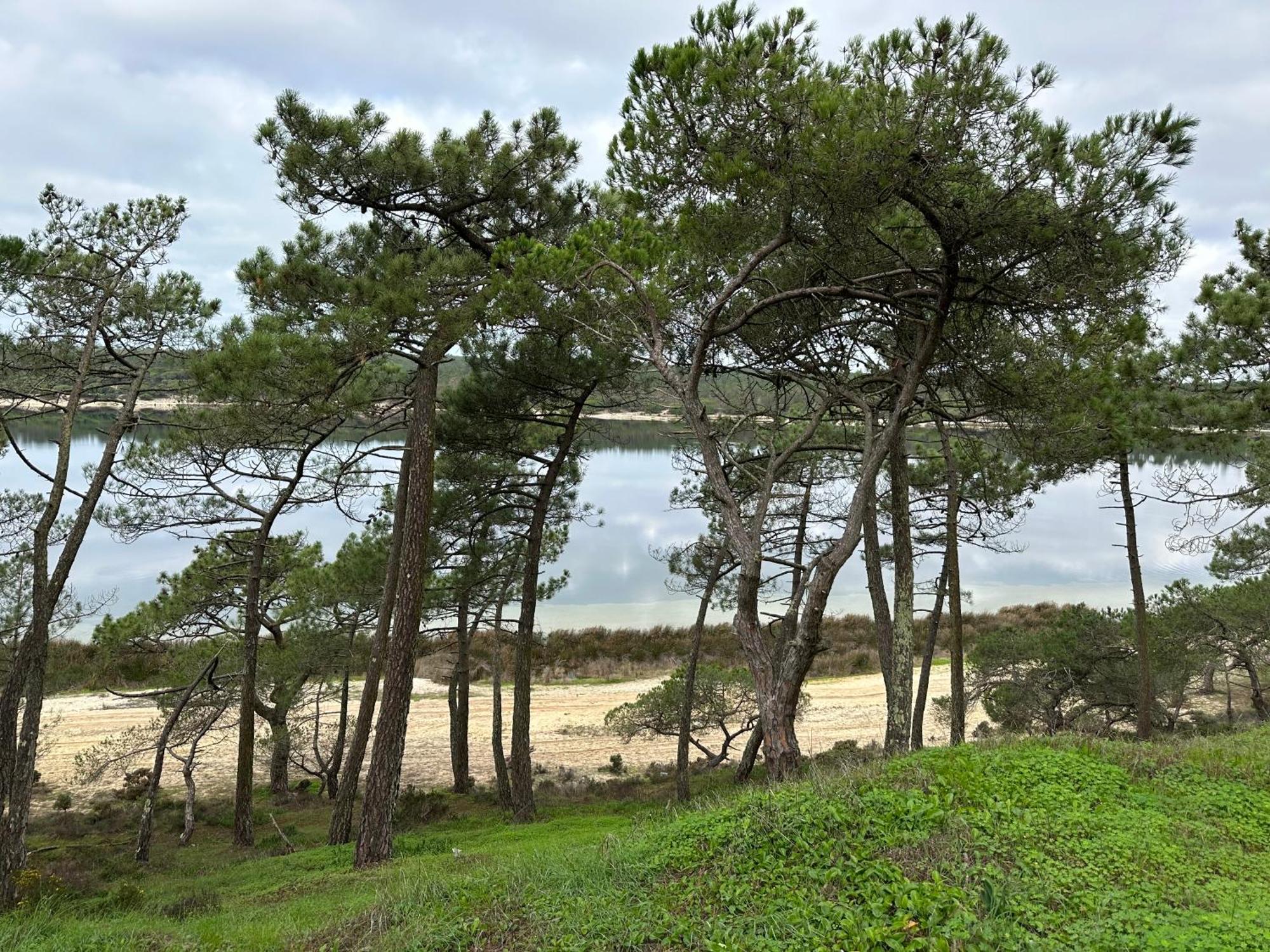Eco-Friendly Beach House Sesimbra Exteriér fotografie